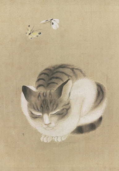 Sleeping Cat and Butterflies - Museum of Fine Arts, Boston - Boxed Note Cards    