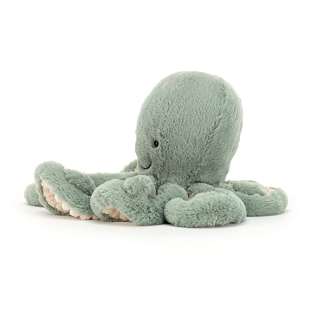 Odyssey Octopus - Little    