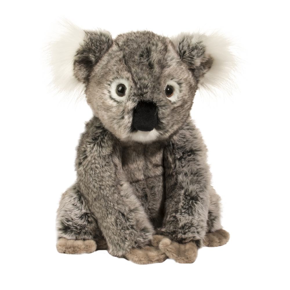 Douglas Kellen Koala    