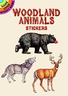 Woodland Animals Stickers - Little Activity Book    
