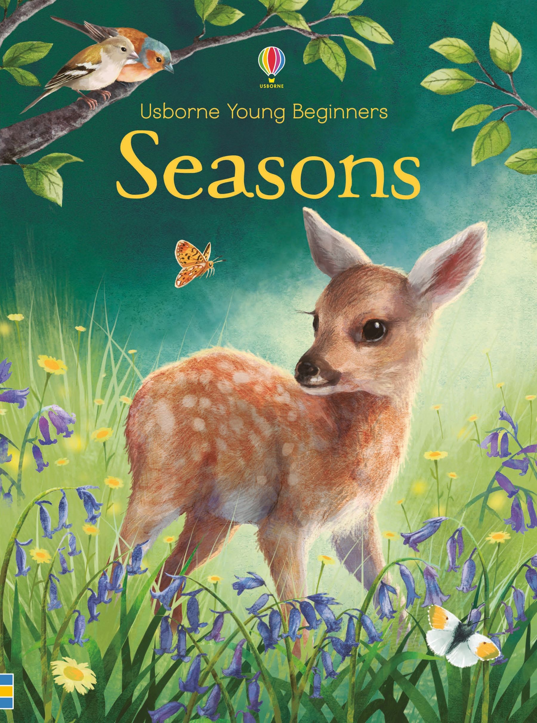 Seasons - Usborne Young Beginners    