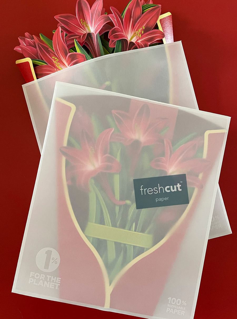 FreshCut Paper - Winter Joy Pop Up Card