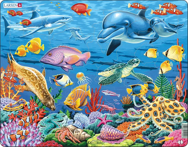 Coral Reef Shaped Piece Tray Puzzle    