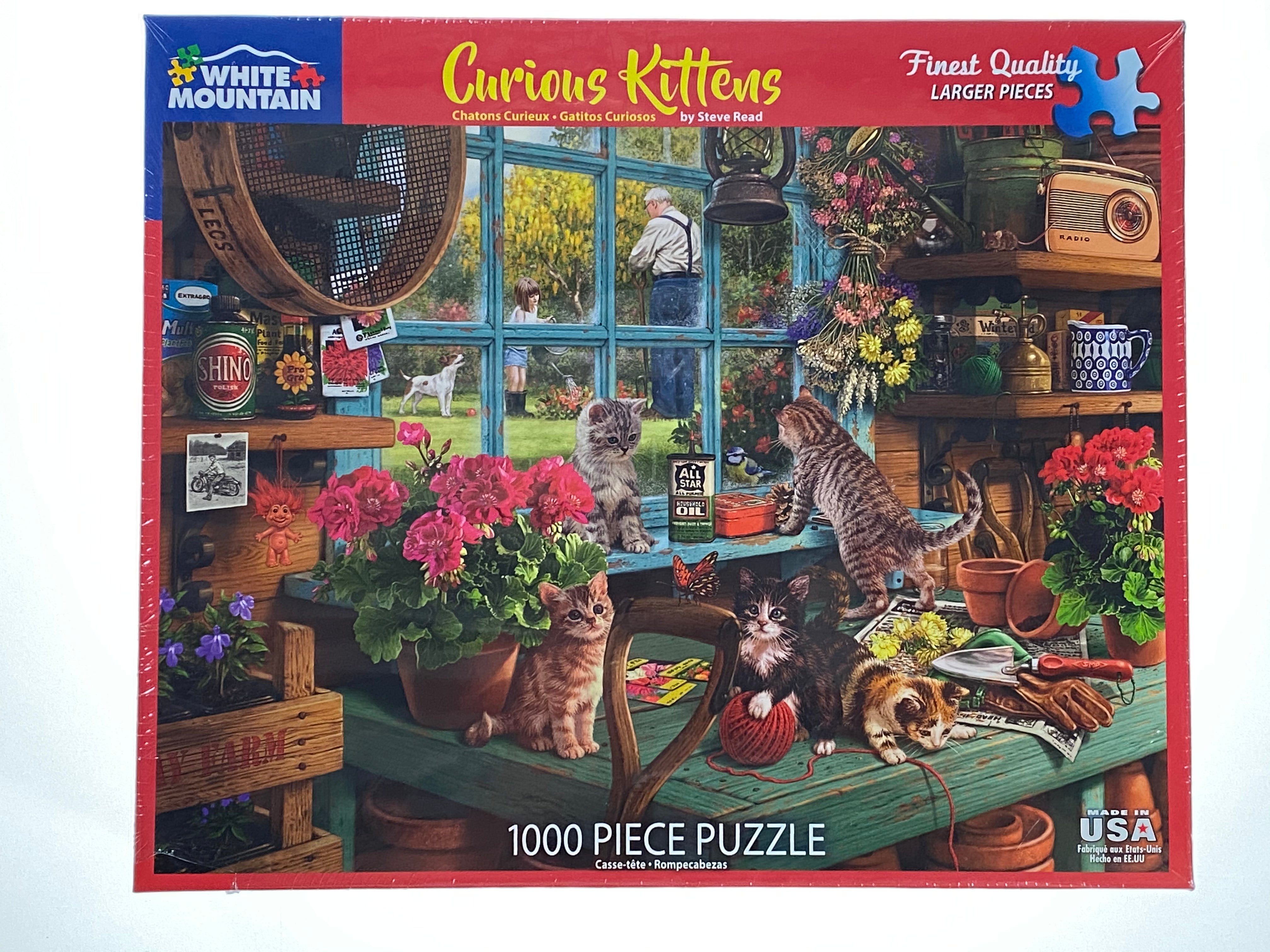 Curious Kittens 1000 piece puzzle    