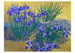 Shimmer - Joan Metcalf Boxed Assorted Note Cards    
