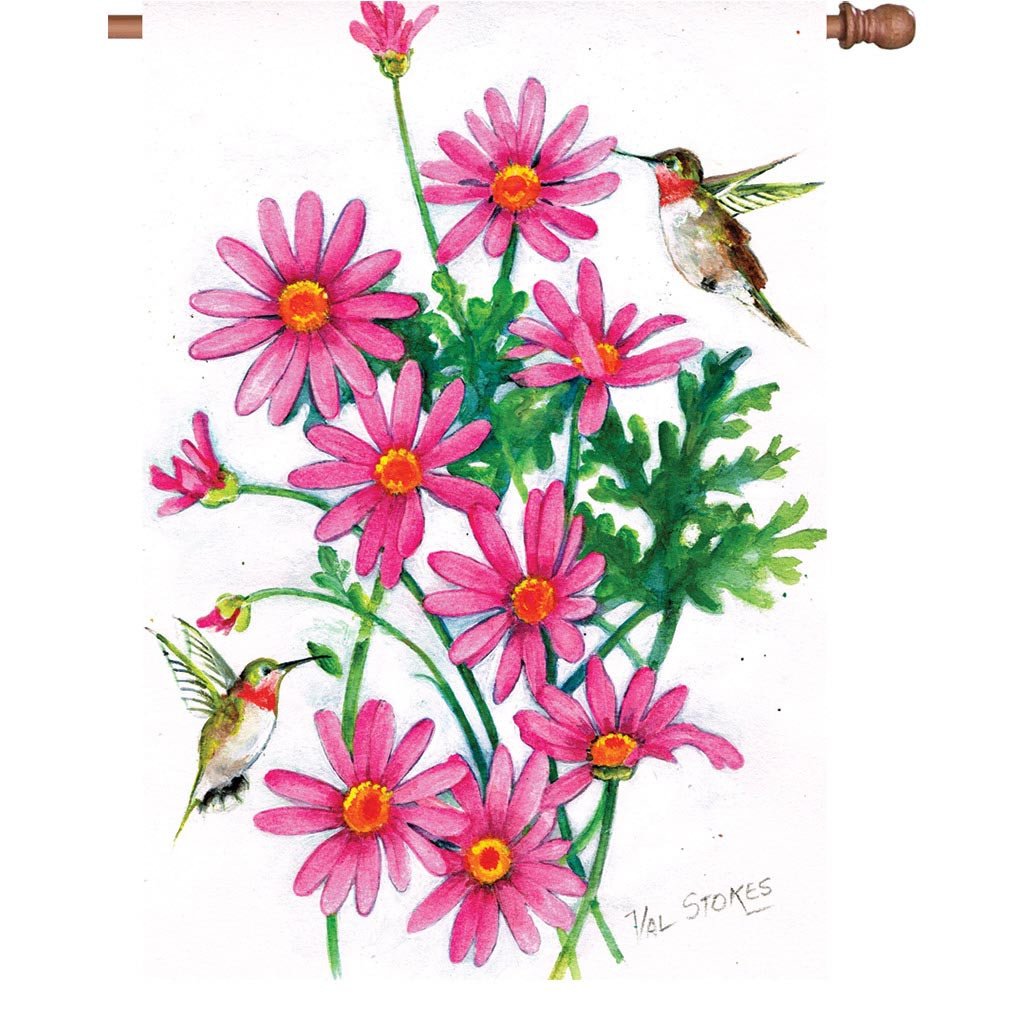 Pink Daisies And Hummingbirds - House Flag    