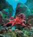 Folkmanis Puppet - Red Octopus    
