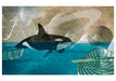 Orcas -Spirits of The Coast - Boxed Assorted Note Cards    