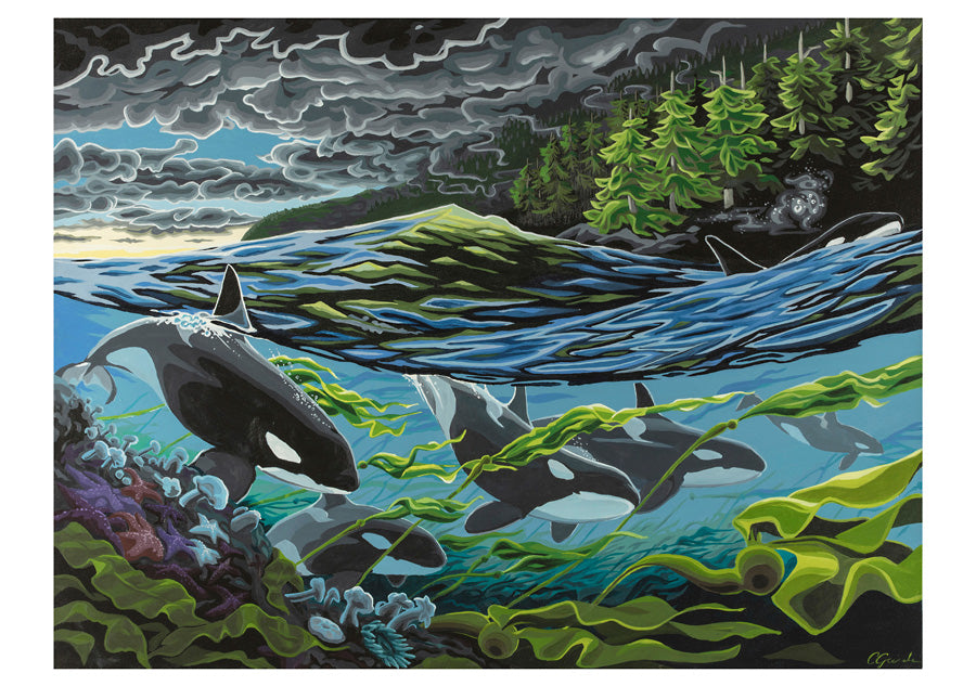 Orcas -Spirits of The Coast - Boxed Assorted Note Cards    