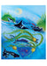 Orcas -Spirits of The Coast - Boxed Assorted Note Cards    