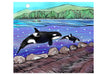 Orcas -Spirits of The Coast - Boxed Assorted Note Cards    