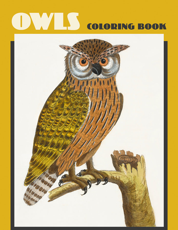 Owls Coloring Book    