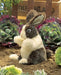 Folkmanis Puppet - Baby Dutch Rabbit    