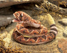 Folkmanis Puppet - Rattle Snake    