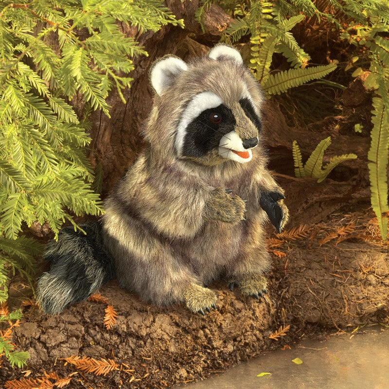 Folkmanis Puppet Raccoon    