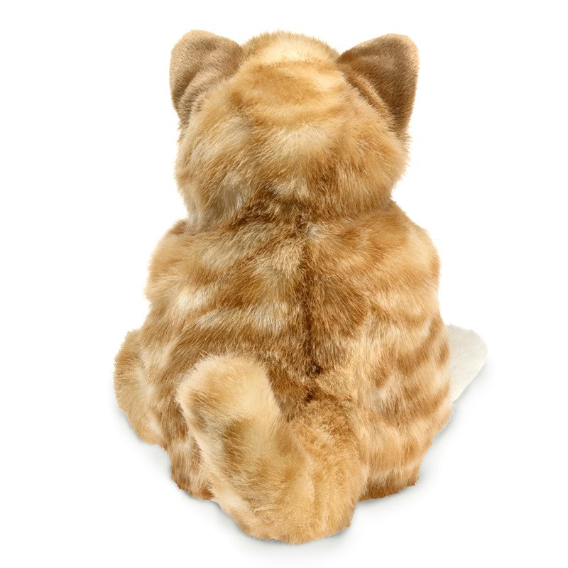 Folkmanis Puppet - Orange Tabby Kitten    