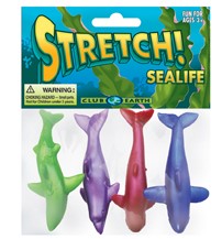 Stretch! - Sealife    