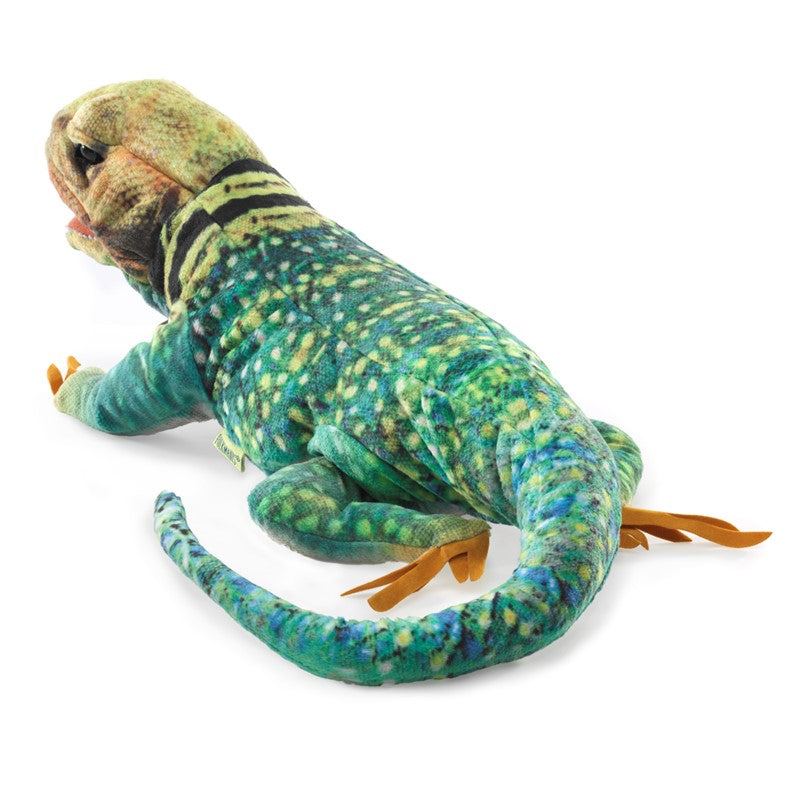 Folkmanis Puppet - Collared Lizard    