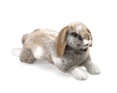 Folkmanis Puppet - Holland Lop Rabbit    