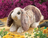 Folkmanis Puppet - Baby Lop Rabbit    