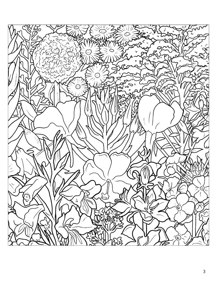 Rosalind Wise Flower Cycle Coloring Book    