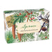Spruce - Boxed Shea Butter Soap    
