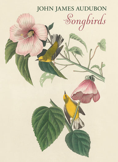 Songbirds - John James Audubon Boxed Assorted Note Cards    