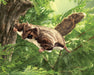 Folkmanis Puppet - Flying Squirrel    