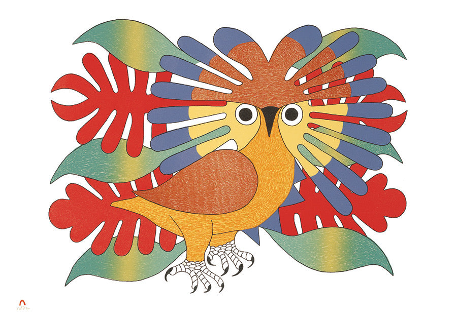 Sun Owl and Foliage - Kenojuak Ashevak Boxed Note Cards    