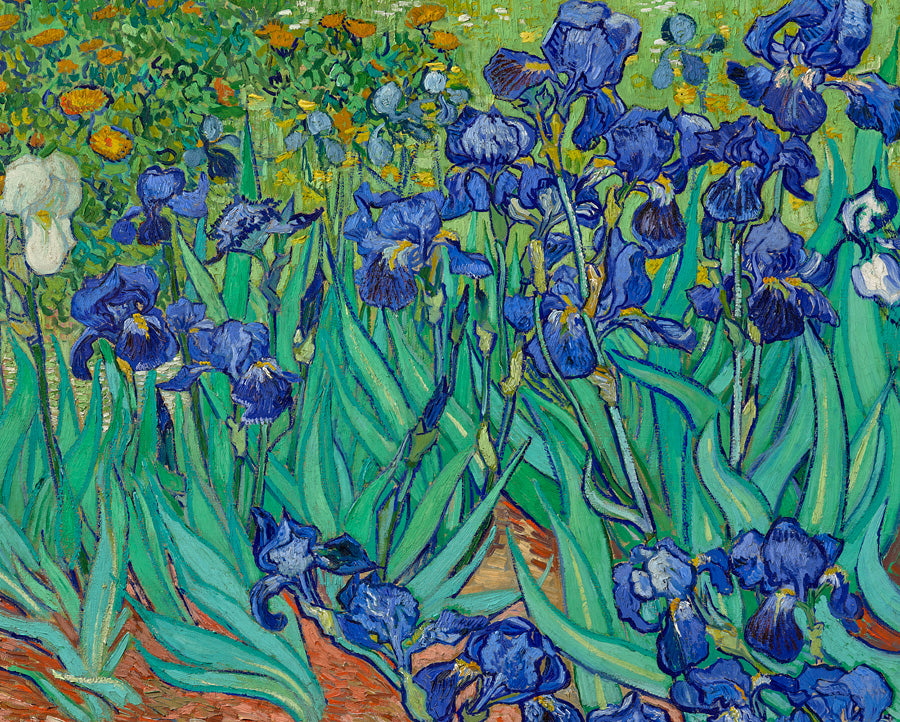 Vincent van Gogh - Keepsake Boxed Assorted Note Cards    