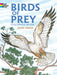 Birds of Prey - Coloring Book    